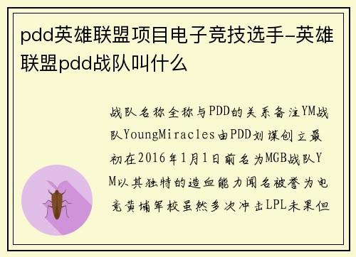 pdd英雄联盟项目电子竞技选手-英雄联盟pdd战队叫什么