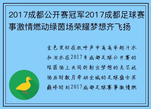 2017成都公开赛冠军2017成都足球赛事激情燃动绿茵场荣耀梦想齐飞扬